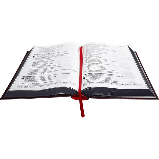 BÍBLIA SAGRADA JESUS SAVES (NA063LG)
