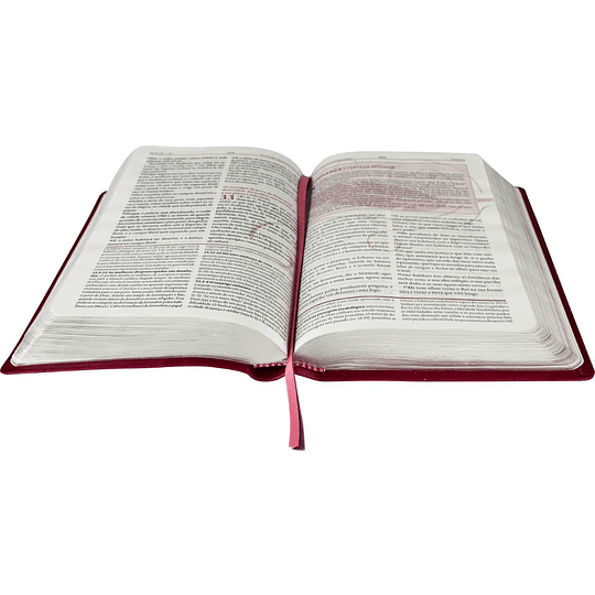 A Bíblia da mulher Leitura, Devocional, Estudo