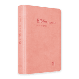 Bíblia DN 64LG com capa rosa