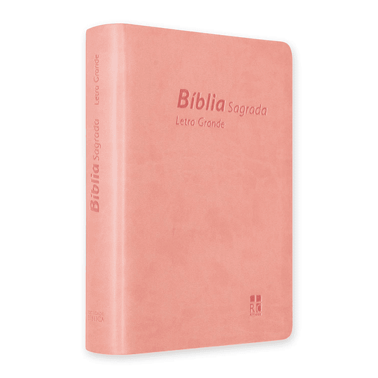 Bíblia DN 64LG com capa rosa