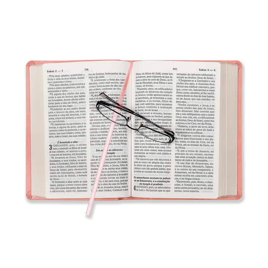 Bíblia DN 64LG com capa rosa