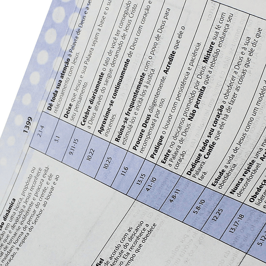 BÍBLIA DE ESTUDO PLENITUDE (RA085TIBP)