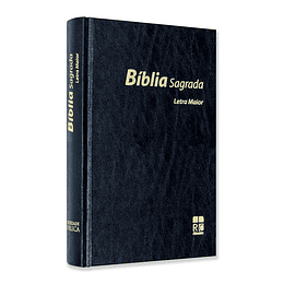 Bíblia Sagrada | DN53LM | CAPA DURA | LETRA MAIOR