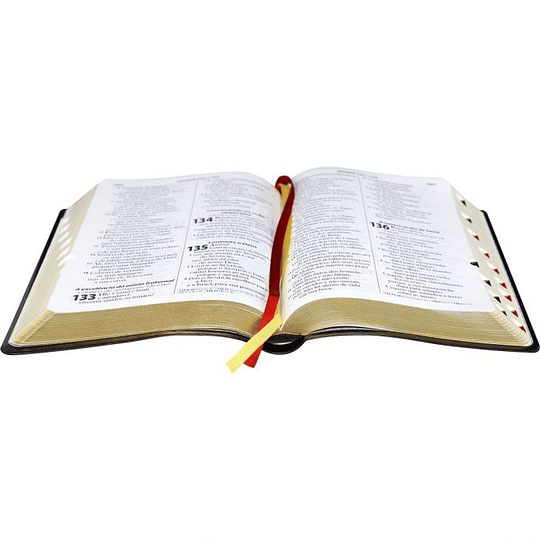 Bíblia Sagrada | RA065TILGI | LETRA GIGANTE | PRETO