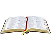 Bíblia Sagrada | RA065TILGI | LETRA GIGANTE | PRETO