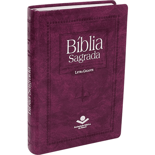 Bíblia Sagrada com letra gigante, com letra vermelhas, notas e referências