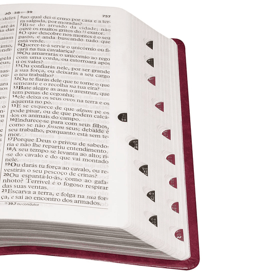 Bíblia Sagrada com letra gigante, com letra vermelhas, notas e referências
