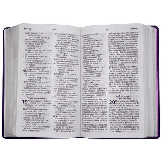  Bíblia AEC com letra grande e palavras de Jesus a vermelho Capa roxa flexível e beiras prateadas