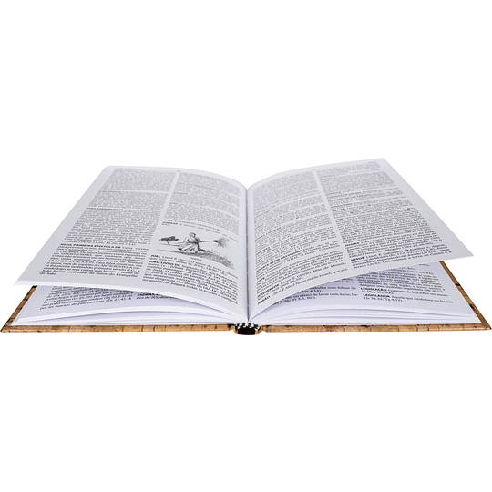 Dicionário da Bíblia de Almeida – 2ª Edição