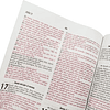 Bíblia Sagrada AEC com letra normal e palavras de Jesus a vermelho Capa 