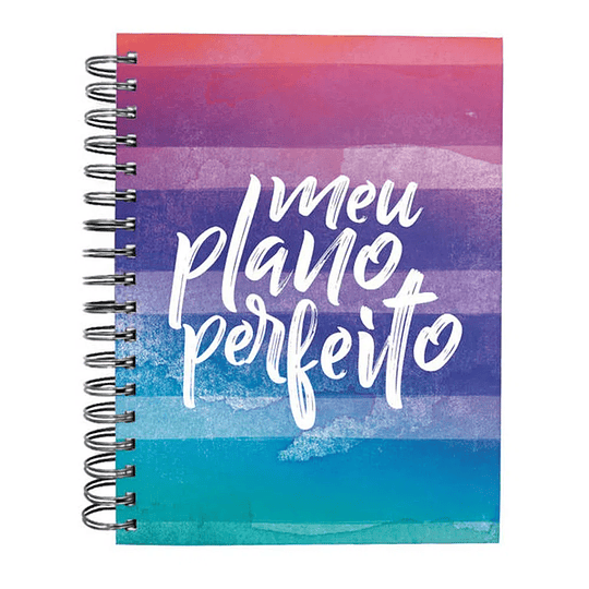 Planner Anual - Meu Plano Perfeito