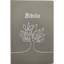  Bíblia com com concordância e letra maior