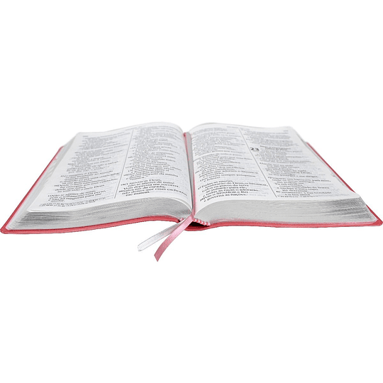 Bíblia | Rosa Claro | (ARC065TILGILV)