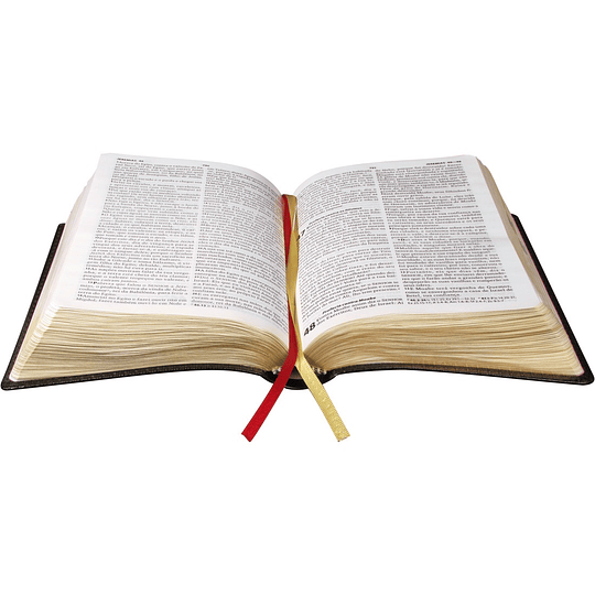 Bíblia do Obreiro | Preto (ARC065CDILGLV)