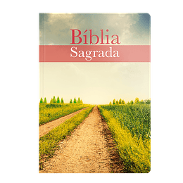 Bíblia Sagrada - Almeida Corrigida Fiel - Capa Caminho