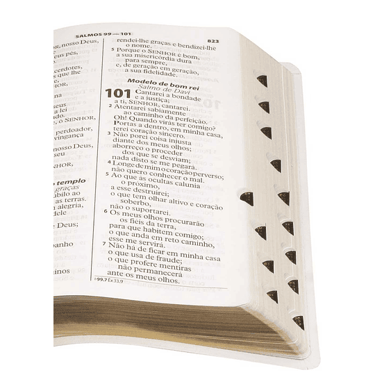 Bíblia Sagrada com letra gigante, notas e referências | Capa branca e beiras douradas com índice digital