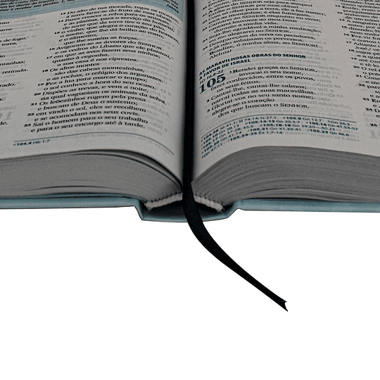 Bíblia da família Capa dura ilustrada e beiras brancas