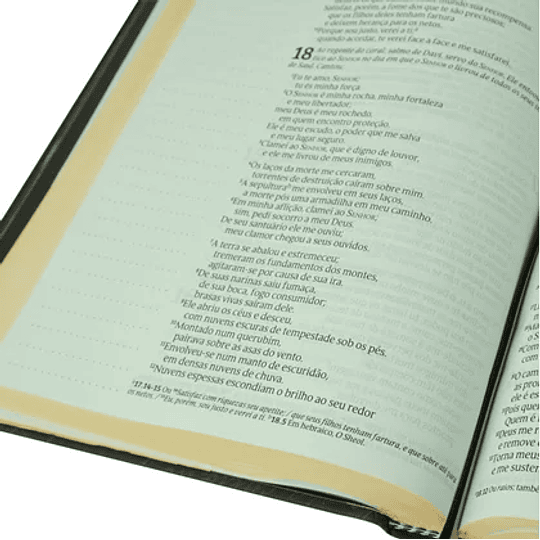 Bíblia Anotações e Esboços Preta | NVT | Letra Grande | Capa Dura