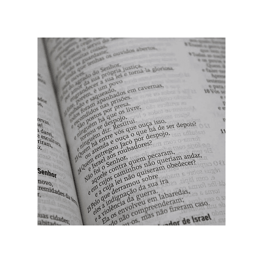 Biblia Sagrada (AEC) Capa Brochura Reforçada Slim - Neon