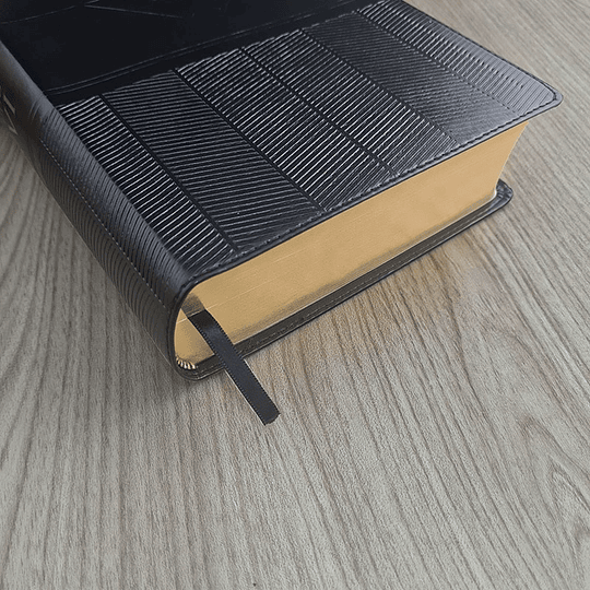 Bíblia de estudo NVI Preta Capa flexível PU com beiras douradas