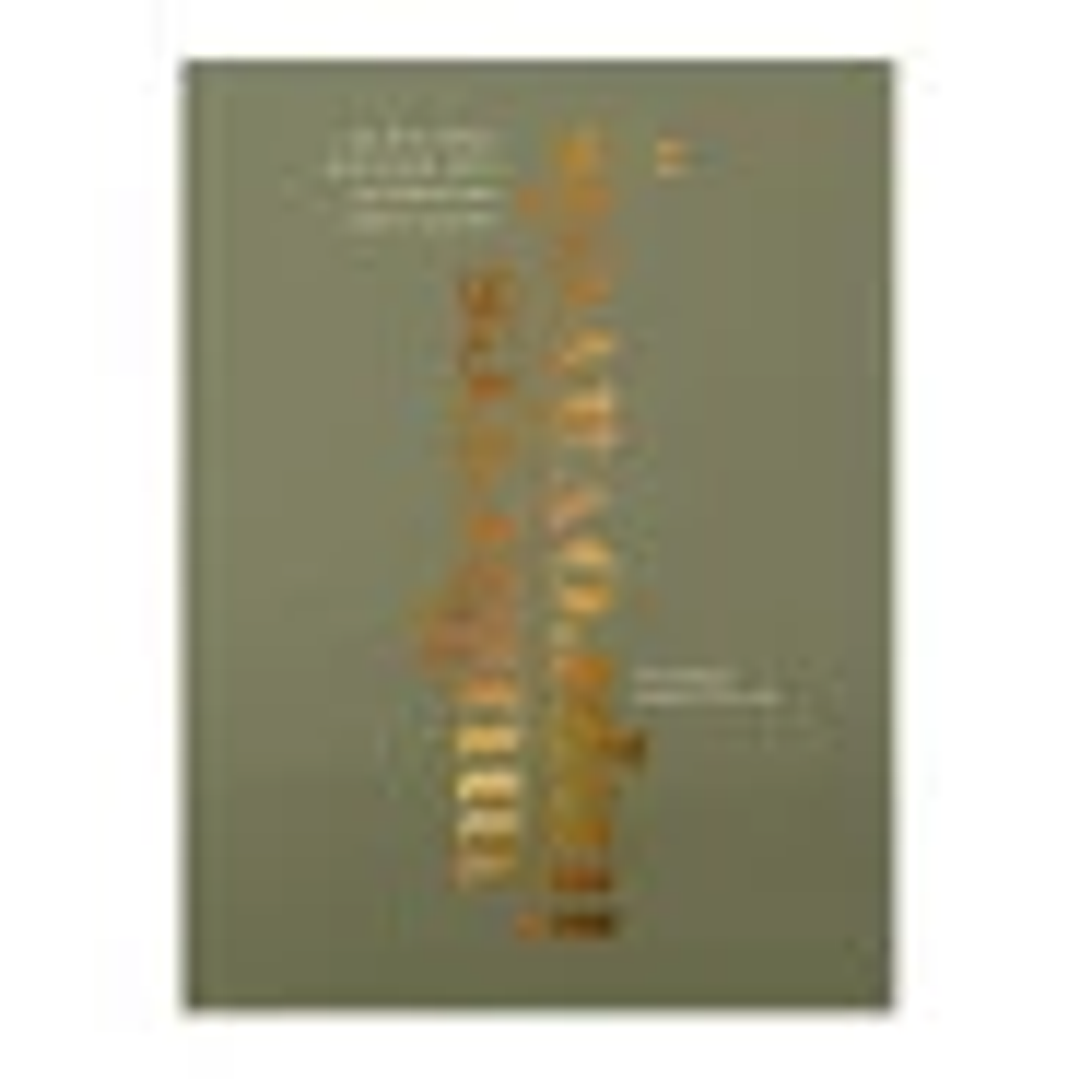 Mulheres Improváveis - Viviane Martinello 1