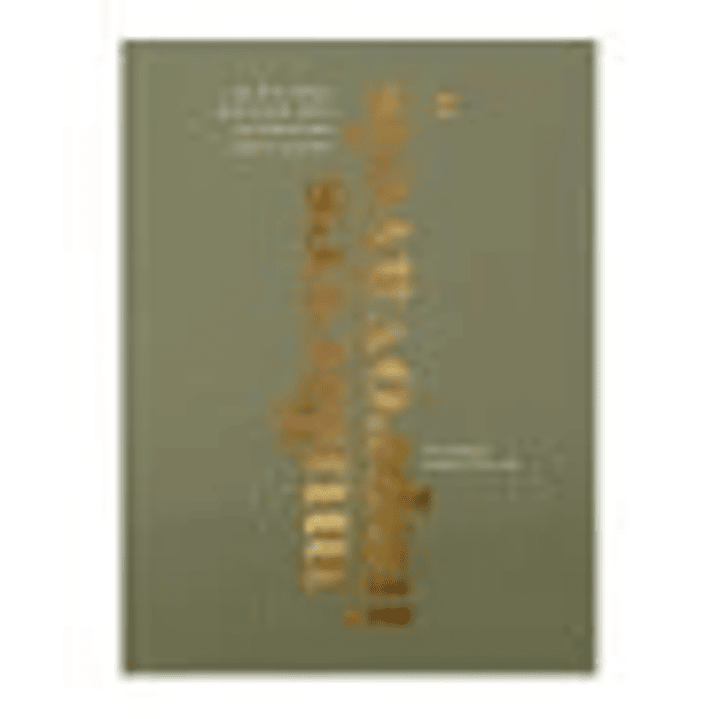 Mulheres Improváveis - Viviane Martinello 1