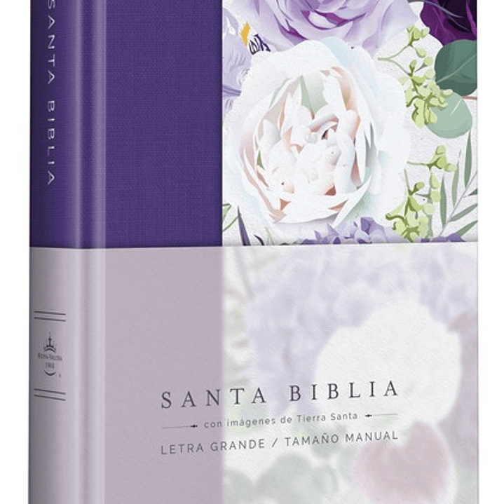 Santa Biblia -  1