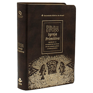 Bíblia de Estudo Igreja Primitiva