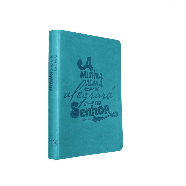 Bíblia turquesa Salmo 35:9 1