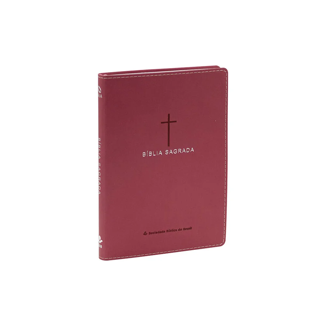 Bíblia Sagrada NAA Slim Rosa 1