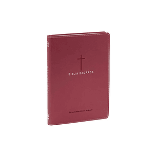 Bíblia Sagrada NAA Slim Rosa