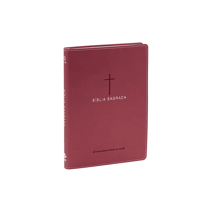 Bíblia Sagrada NAA Slim Rosa 1