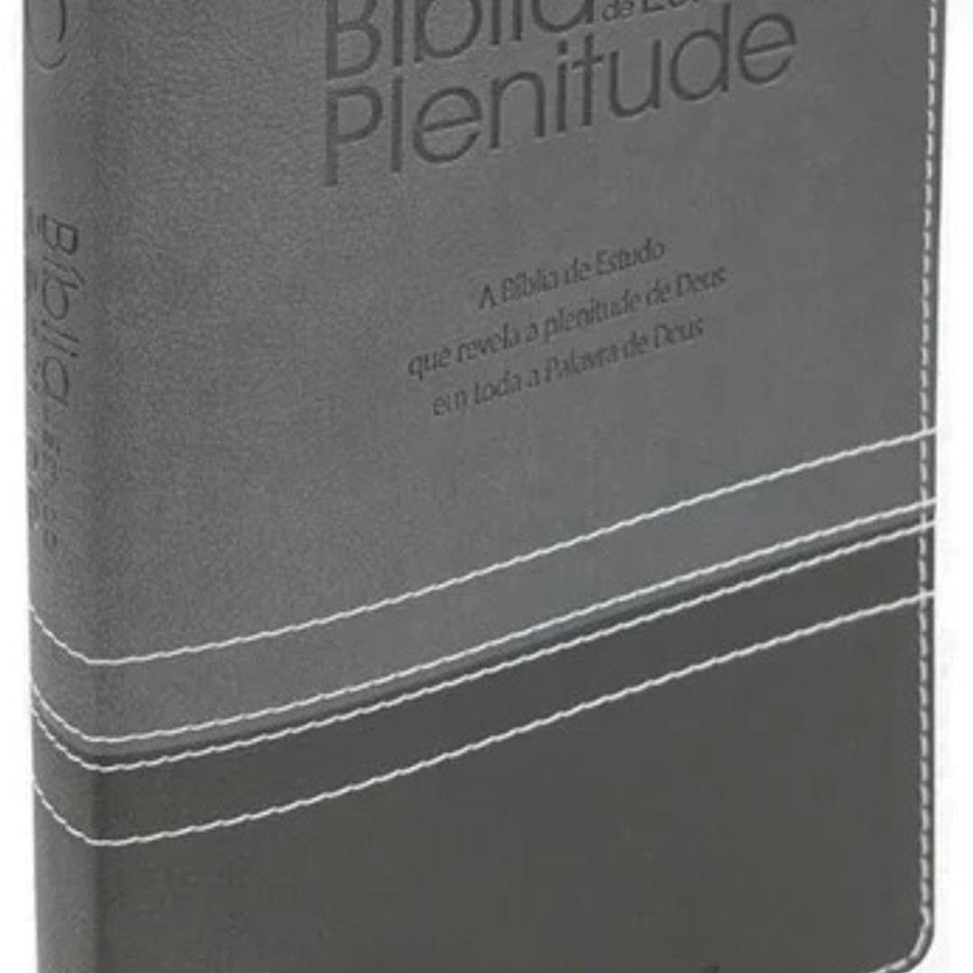Bíblia de Estudo Plenitude Cinza 1