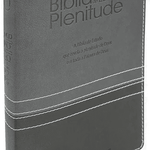 Bíblia de Estudo Plenitude Cinza