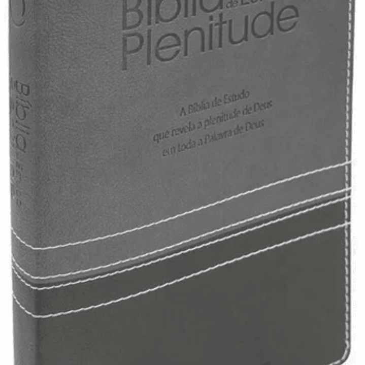 Bíblia de Estudo Plenitude Cinza 1