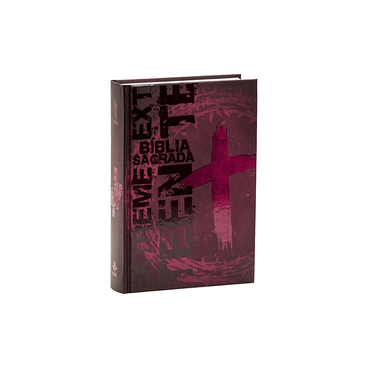 Bíblia NTLH Extreme Rosa 1