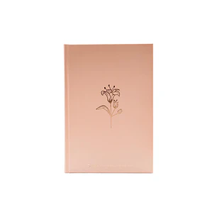 Bíblia NTLH, Rose Tan, Capa Dura