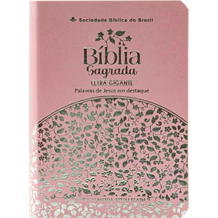 Bíblia Media Letra Gigante - NAA Rosa Luxo 