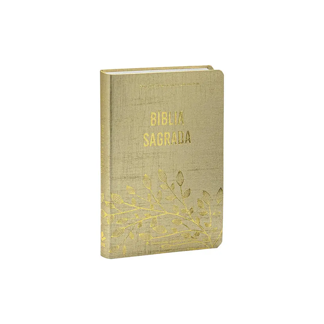 Bíblia Sagrada NTLH Letra Grande 1