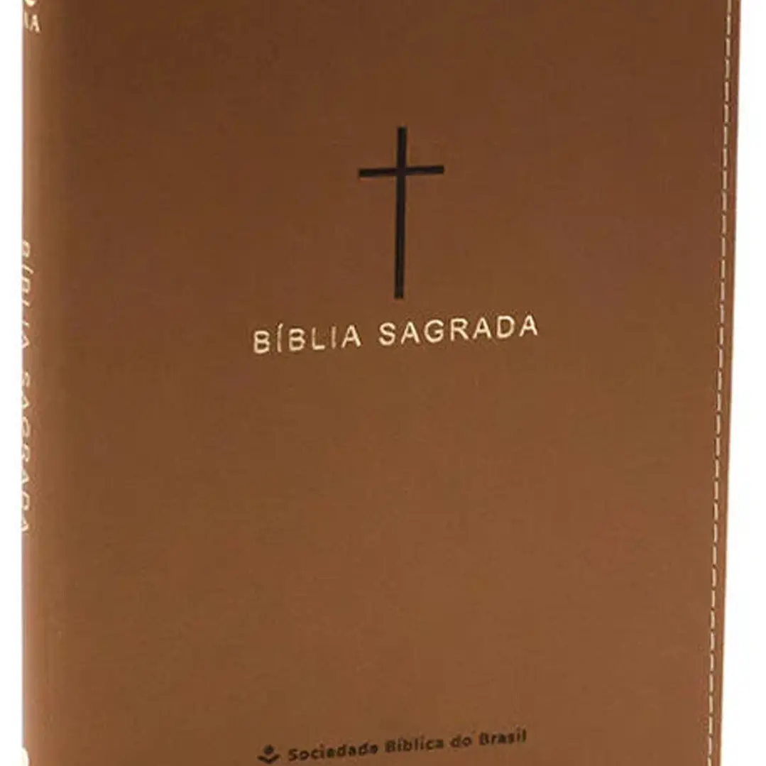 Bíblia Sagrada NAA Castanha Slim 1