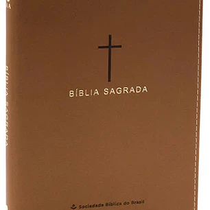 Bíblia Sagrada NAA Castanha Slim
