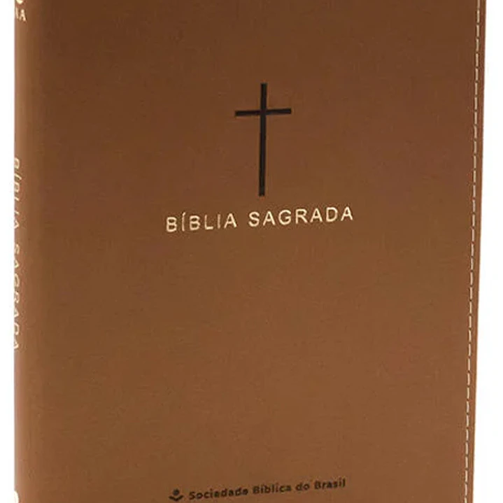 Bíblia Sagrada NAA Castanha Slim 1