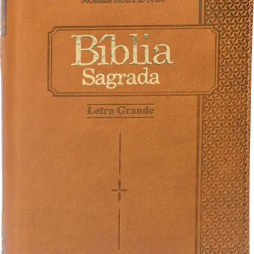 Bíblia Sagrada Letra Grande ARC 1