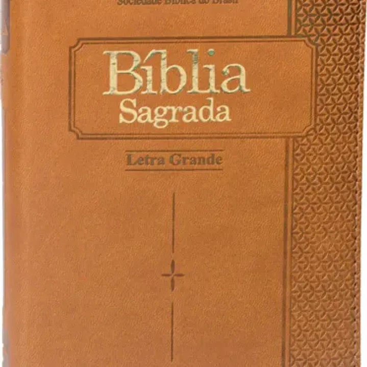 Bíblia Sagrada Letra Grande ARC 1