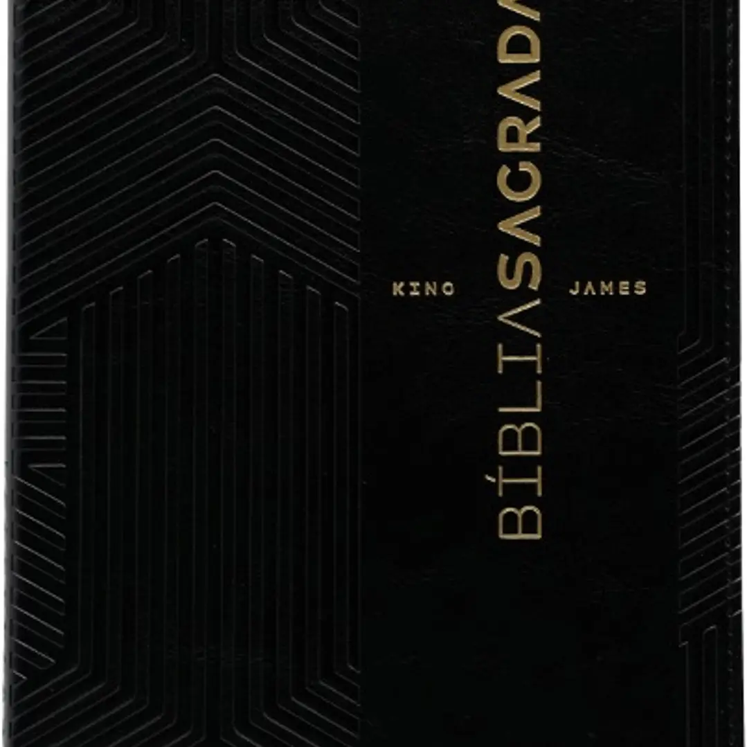 Bíblia King James Slim Preta 1