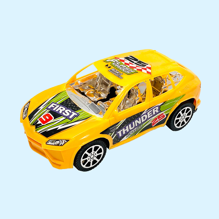 CARRO DE CARRERAS 166 1