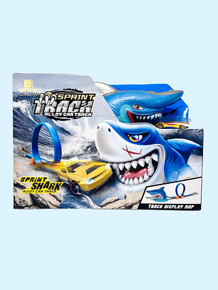 PISTA DE CARROS LT-015