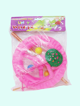 RUEDA CAMINADORA 019