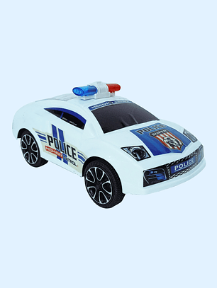 CARRO POLICIA 022-11