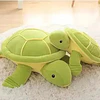 Peluche Tortuga Kawaii 40cm Hipoalergénico Felpa Para Niños